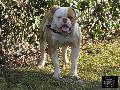 10 months old